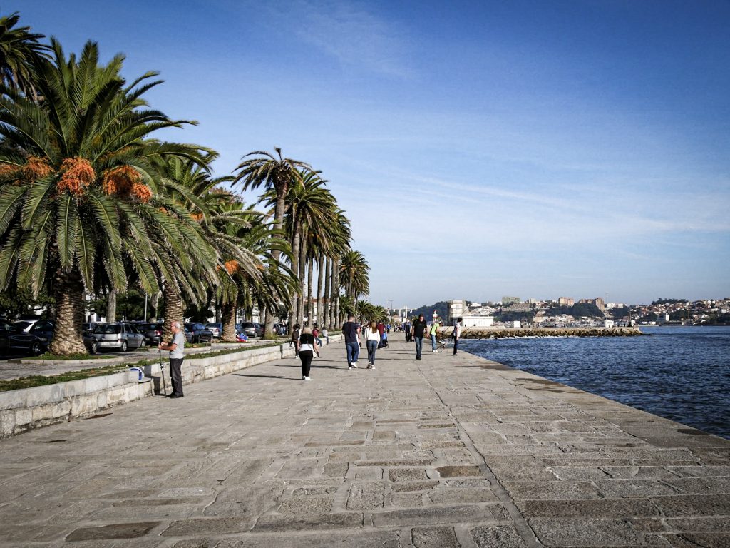 Afternoon promenade