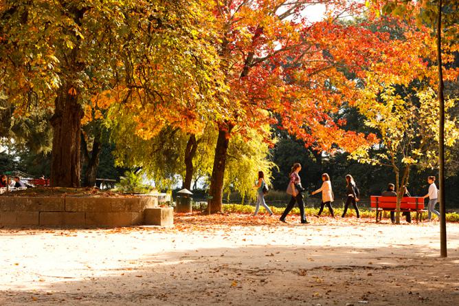 Porto autumn